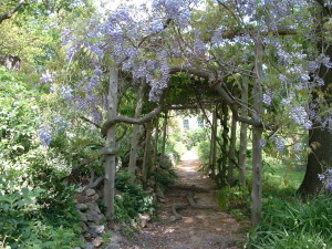 Summer Gardens of Macculloch Hall Historical Museum, Morristown, New Jersey