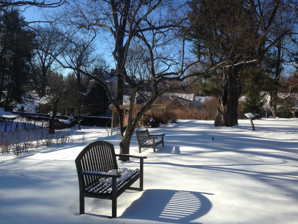 Jardines de invierno del Museo Histórico Macculloch Hall, Morristown, Nueva Jersey