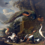 Melchoir D’Hondecoeter (1636-1695) grew up watching artists at work. His father, grandfather and uncle were all artists. He saw his father painting landscapes with beautiful birds and thought he could too.