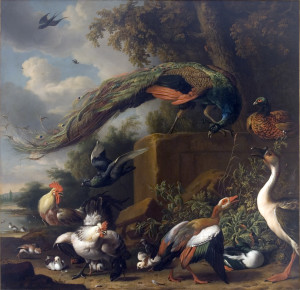 Fowl in Landscape by D'Hondecoeter. A large peacock is at the center of the painting with various other birds arranged below it at the edge of a forest. Birds fly in the partly cloudy sky in the background.