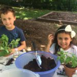 Los niños plantan los plantones en ¡Dig it! Plántalo! Programa de verano "¡Cómetelo!
