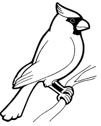 cardinal coloring book image