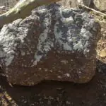 largepuddingstone Large pudding stone.