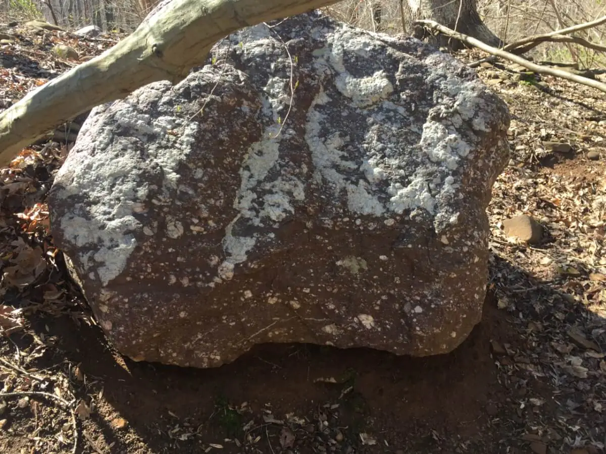 largepuddingstone Large pudding stone.