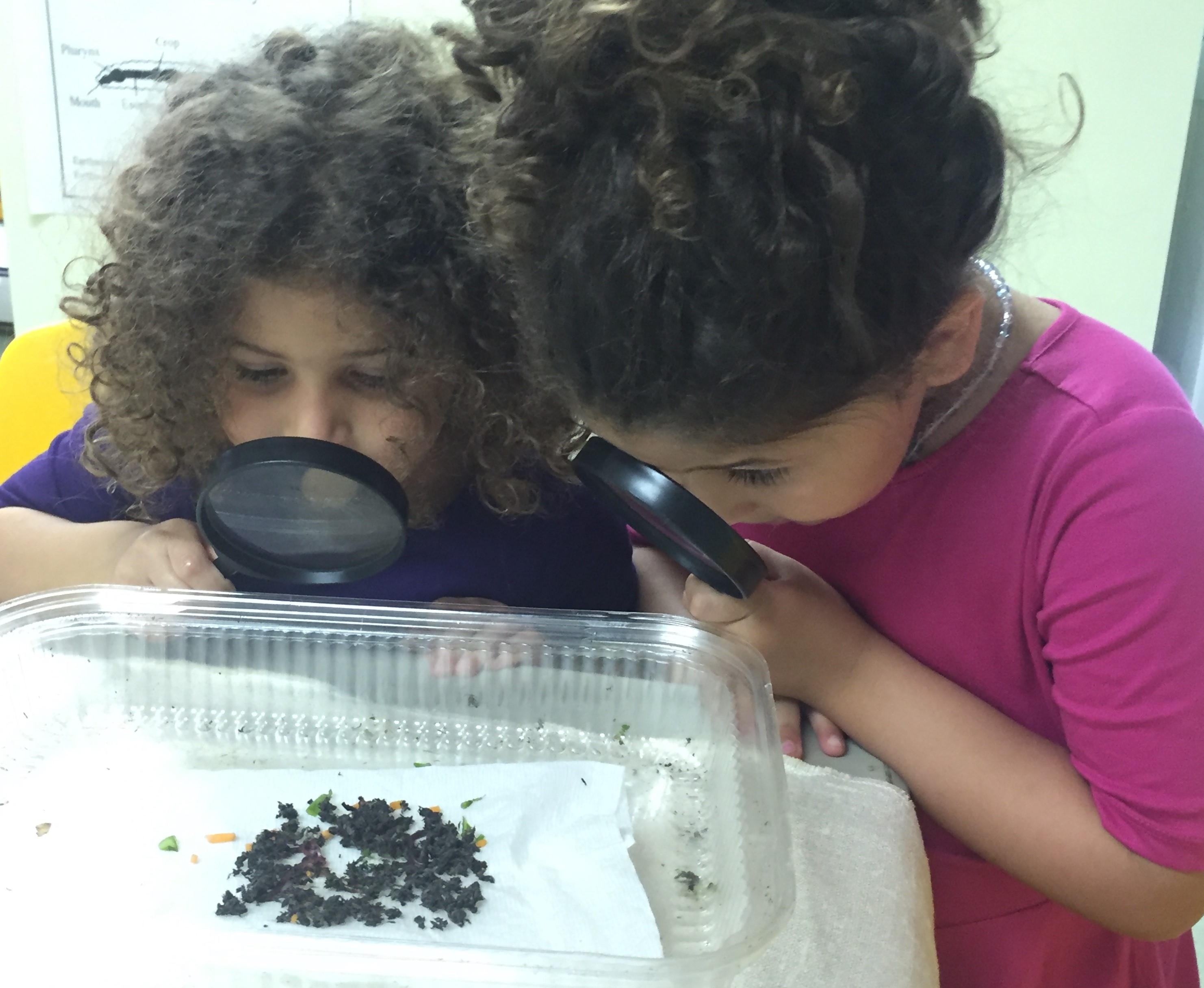Two young girls use magnifying glasses to look for worms in the dirt.