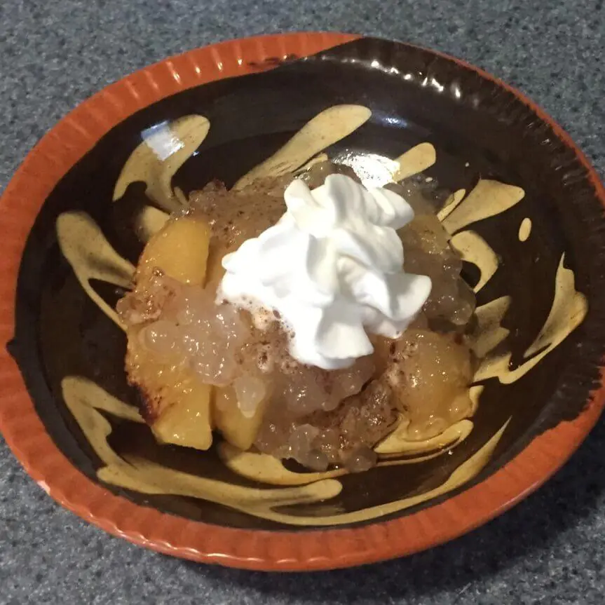 Apple Tapioca Pudding slice Apple Tapioca Pudding slice