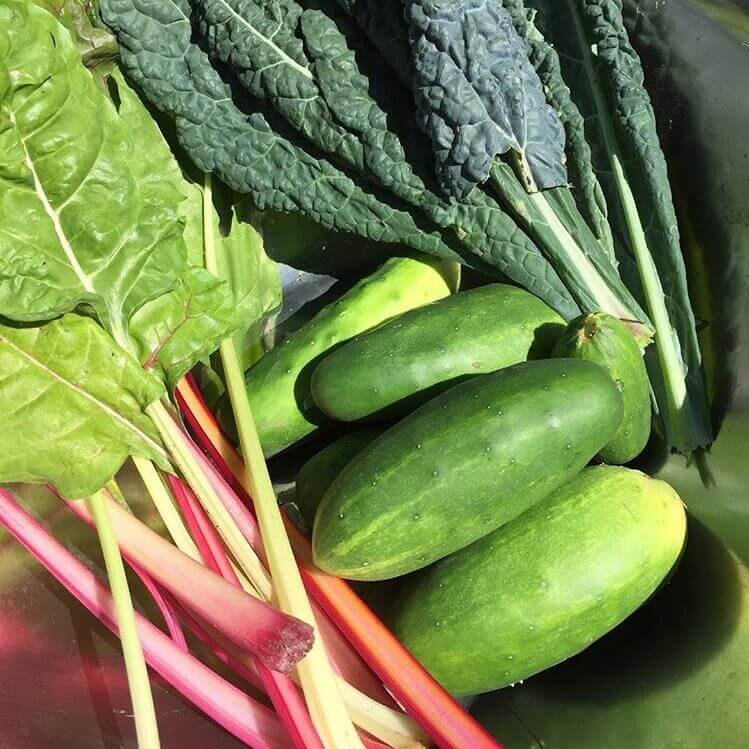 Varias verduras frescas en una cesta