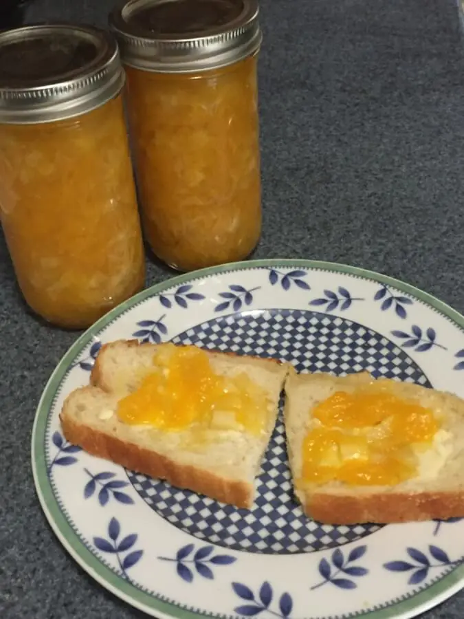 96061D7D-DE2D-42D2-BB09-80975F4E6DA0 Yellow tomato preserves on toast