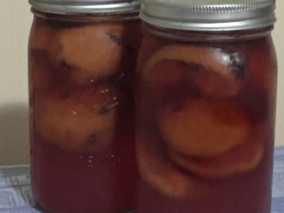 Pickled Peaches