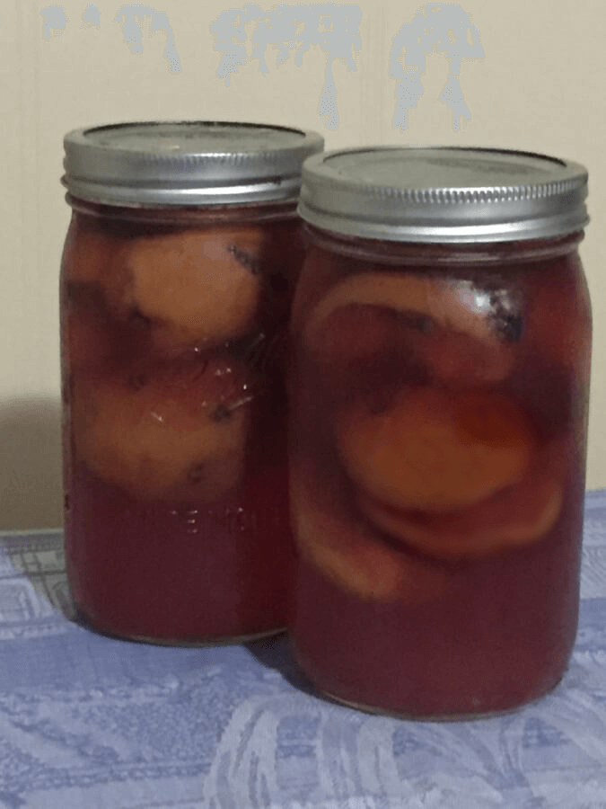 Glass jars of pickled peaches.