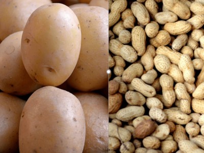Patatas y cacahuetes: Llegar y enseñar a los agricultores