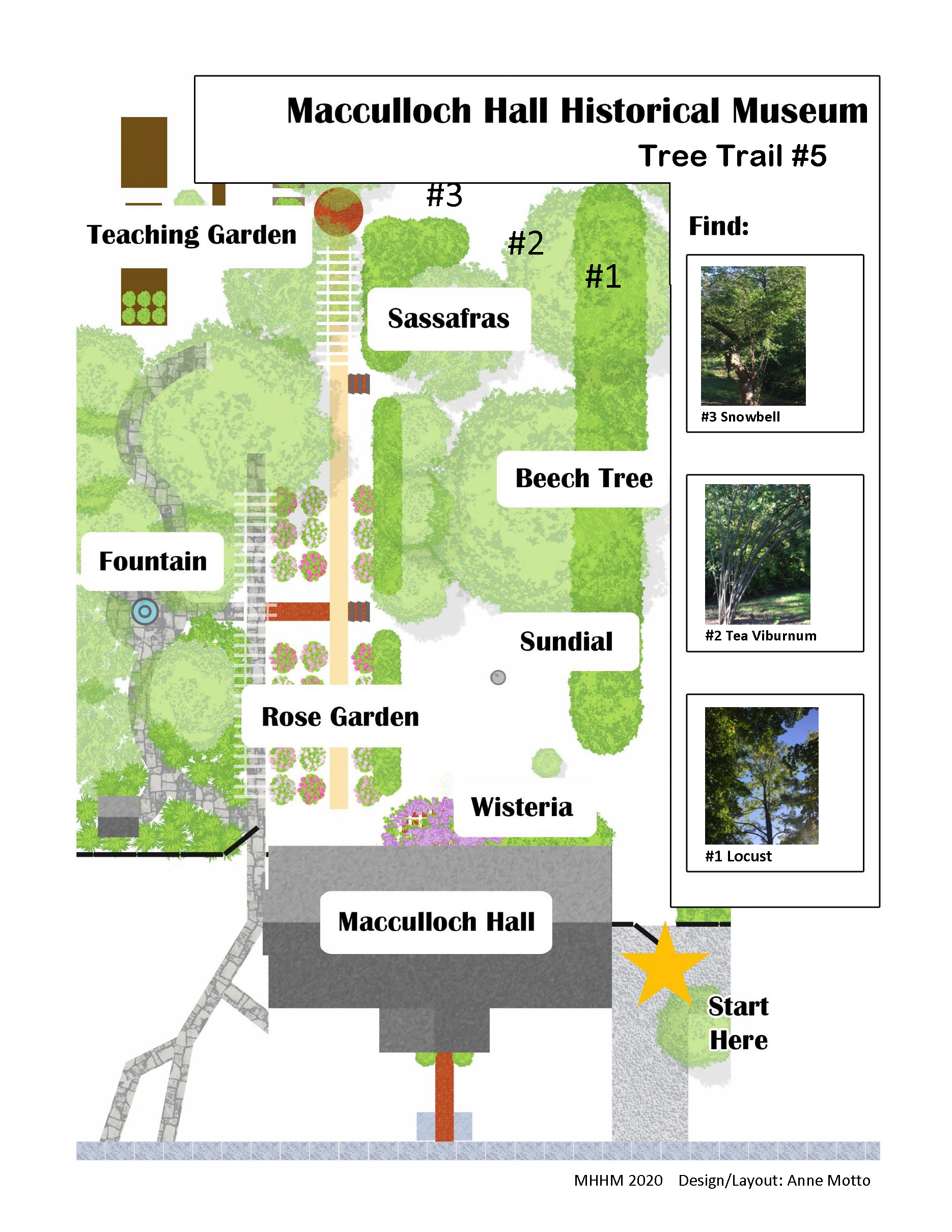 Un mapa gráfico de los jardines de Macculloch Hall con una actividad para encontrar árboles.
