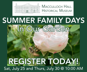 Promotion for Summer Family Days in our garden on July 25 and July 30, 2026