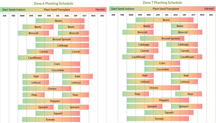 calendario de plantación para las zonas 6 y 7