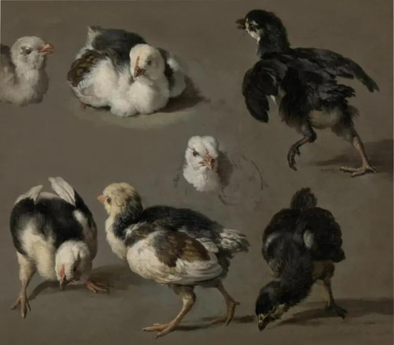 Grab a pencil or marker and try sketching a bird today in different poses. Send your artwork to someone you love who is home alone right now. At Macculloch Hall, we would love to see your art too!