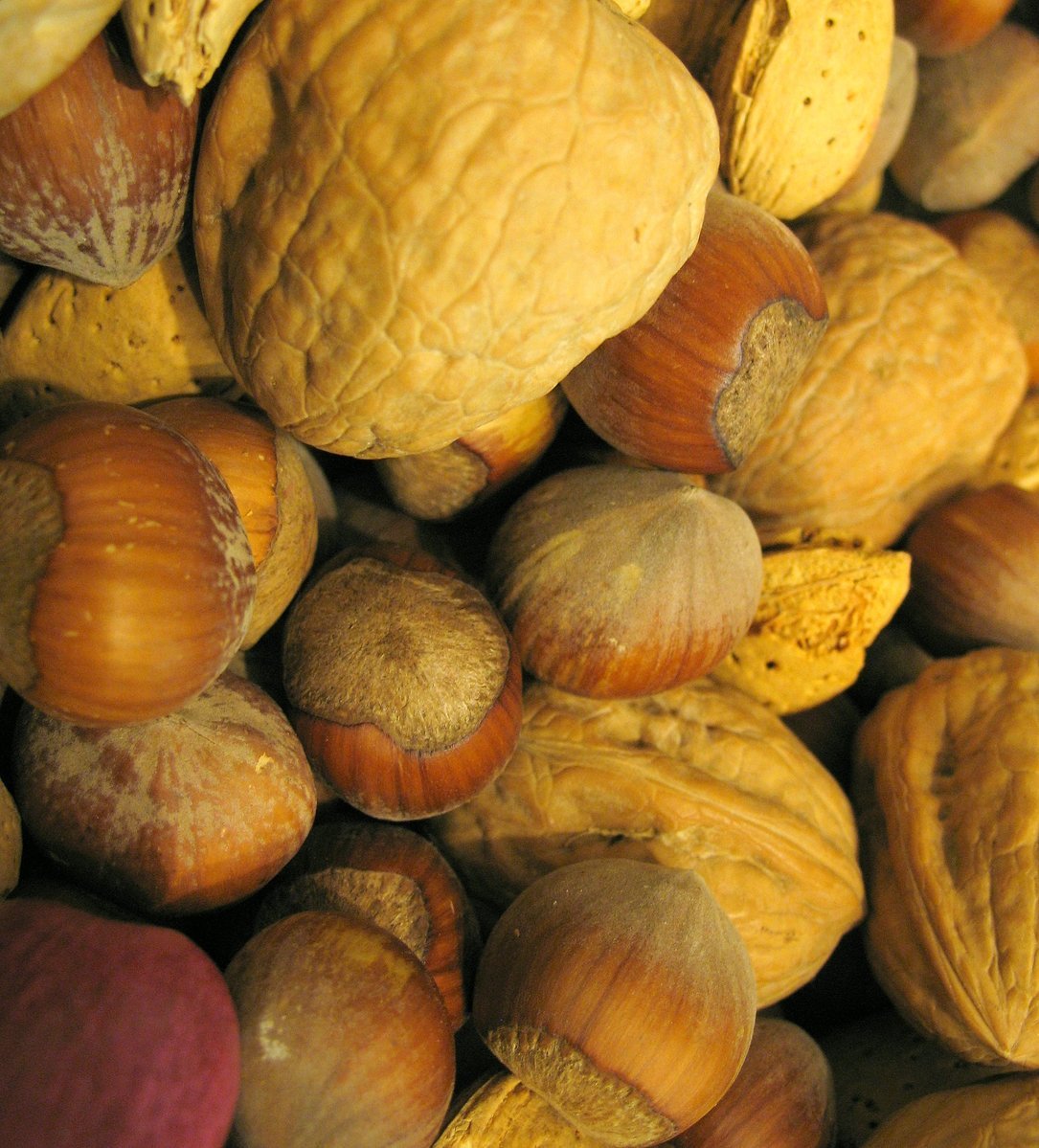 Several different types of brown nuts.