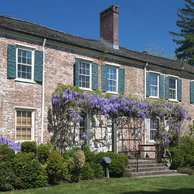 South facade of Macculloch Hall showing the purple wisteria in bloom.
