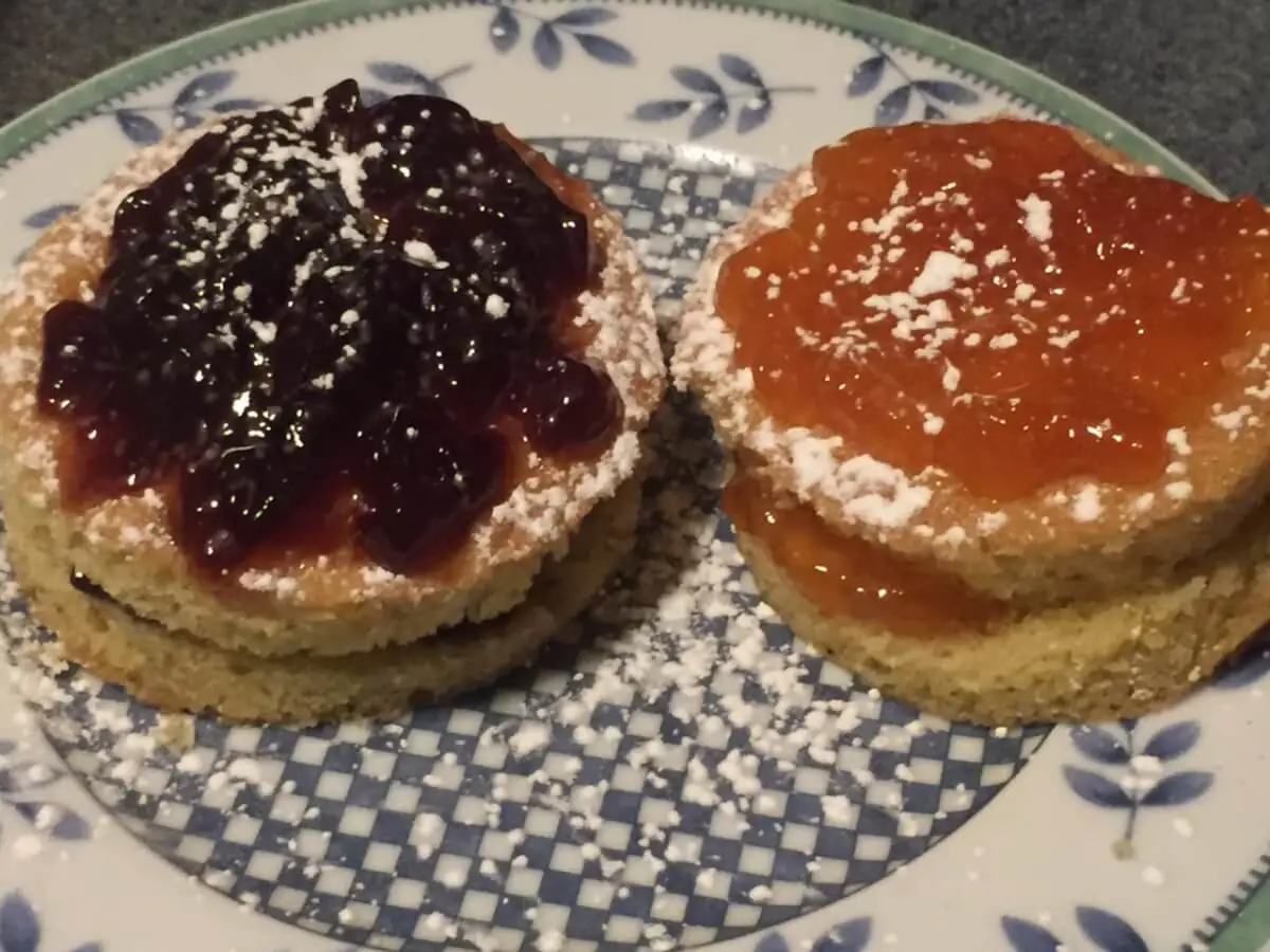 Two baked cakes layered with jelly and powdered sugar sit on top of a blue and white porcelain plate.