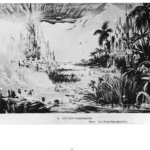 A landscape scene with water, palm trees, and other vegetation surrounding.